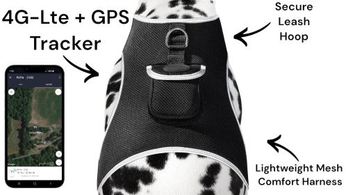 Realtime Pet Tracking Dog/Cat Collar GSM GPS Rechargeable Mini Tracker Size:XXL