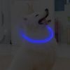 Pet luminous collar